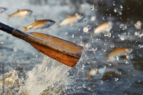 A rowing oar paddling itself in an imaginary river, surrounded by splashing fish photo