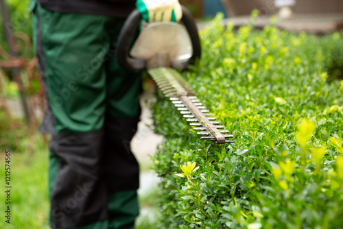 craftsman background, worker with gloves cuts hedge with electric hedge trimmer