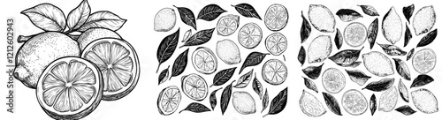 Modern hand-drawn illustration of lemons in black and white