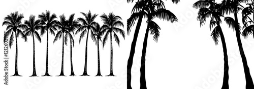A detailed black silhouette of a tropical coconut palm tree, outlined in contours on a white background. Modern format