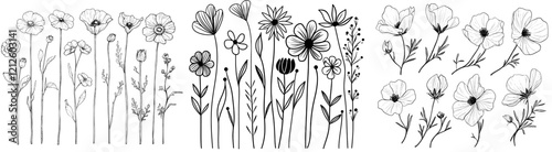 Hand-drawn modern vintage flower elements isolated on a white background