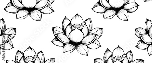 A modern white backdrop featuring hand-drawn black silhouettes of a lotus flower and leaves