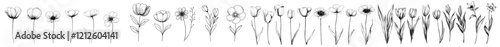 A collection of hand-drawn black modern floral designs featuring grunge-style dirty decorative flowers, isolated on a white background. This modern ink graphic art showcases expressive brush strokes