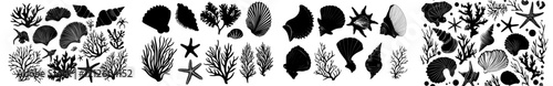 A set of black sea shell silhouettes along with algae and a starfish, presented as a modern illustration isolated on a white background