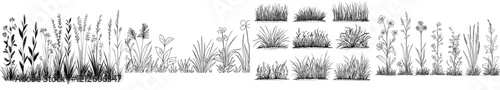 Grass set graphic in black and white, isolated sketch illustration, modern