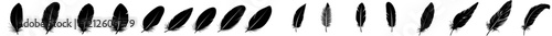 Abstract black bird feather icons