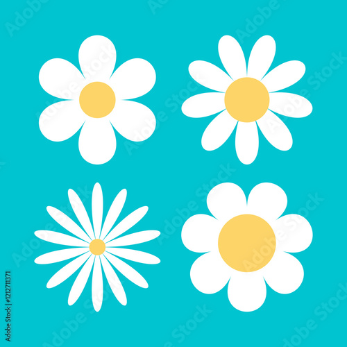 White daisy chamomile set. Camomile icon. Cute round flower head plant collection. Love card symbol. Growing concept. Simple flat design. Nature sign. Childish style. Isolated. Blue background. Vector