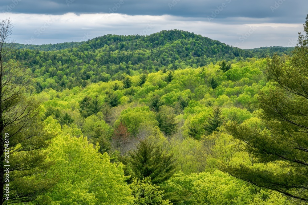 Lush Spring Forest Hilltop View, Cloudy Sky Lush Spring Forest Hilltop View, Cloudy Sky