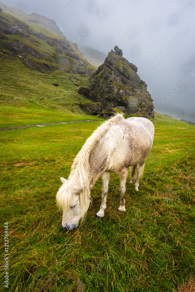 Naklejka premium Scenic photos of islandic road trip
