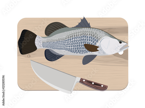 Lates calcarifer on white background.