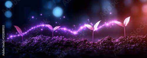 Glowing Seedlings Growing Night Soil photo