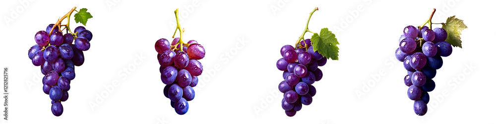 Fototapeta premium Grape Bunches – Purple and Black Fruit Set – Isolated on White