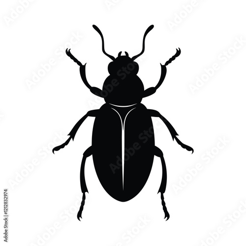 beetle isolated on white background