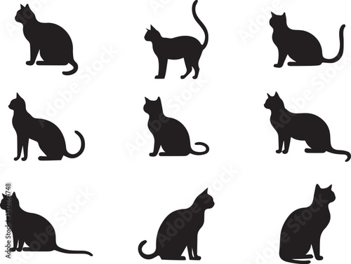 Photography Kitty Cats, set of cats silhouettes,Set of vector cute cat silhouette in different poses isolated on white background