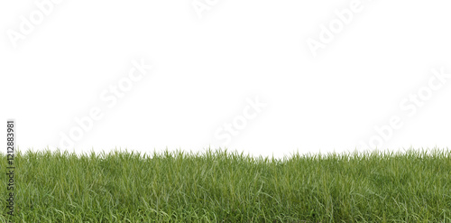 green grass field isolated on transparent background, png