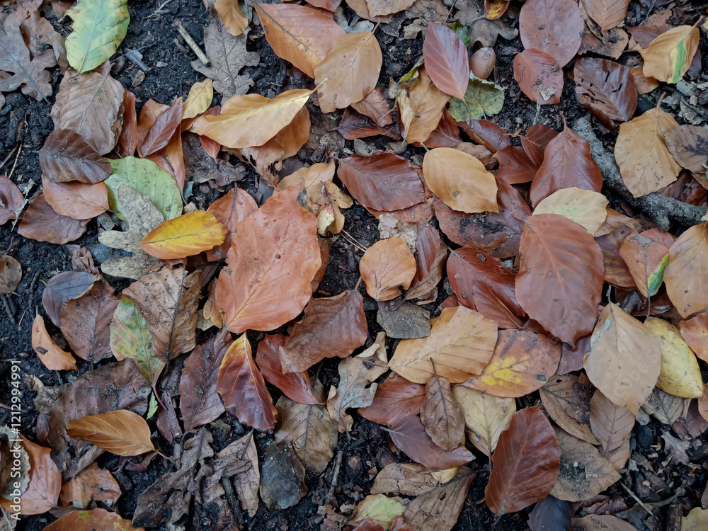 Dried and yellowed leaves on the ground. Background of autumn colors. Dry yellow autumn leaves on the ground, natural autumn background. Autumn dry brown leaves.Background of fallen autumn leaves. Dried and yellowed leaves on the ground. Background of autumn colors. Dry yellow autumn leaves on the ground, natural autumn background. Autumn dry brown leaves.Background of fallen autumn leaves.