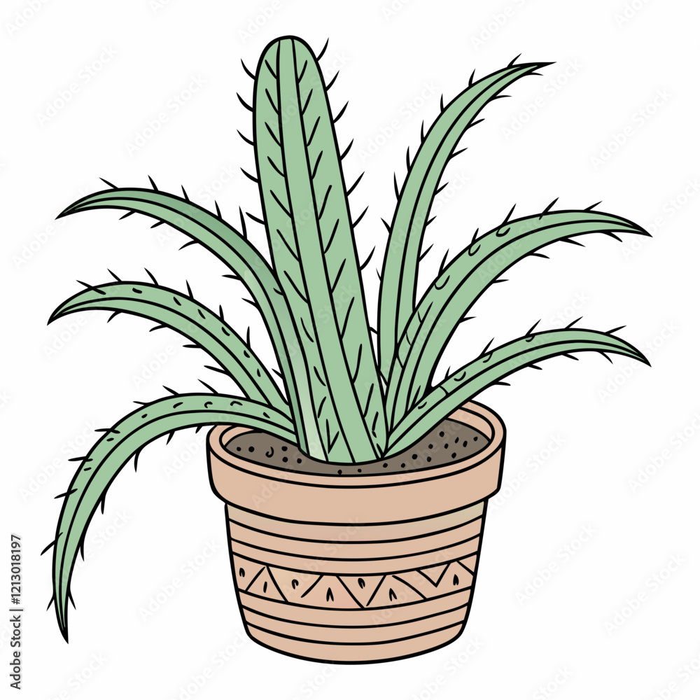 Obraz premium aloe vera plant isolated on white