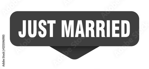 just married sticker. just married sign on transparent background