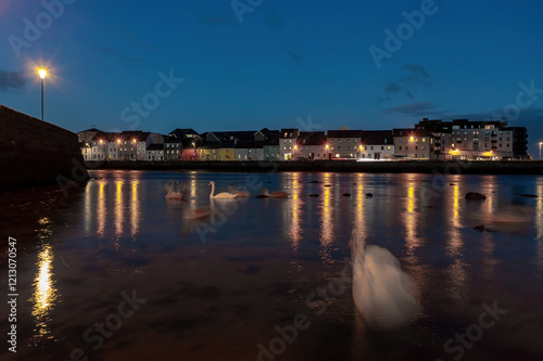 Long exposure photo of swans gliding on River Corrib at night. The Long Walk in the background. Galway city photo