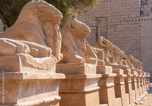 Row of ancient ram-headed sphinx statues stand majestically their weathered stone faces gazing into the distance. photo