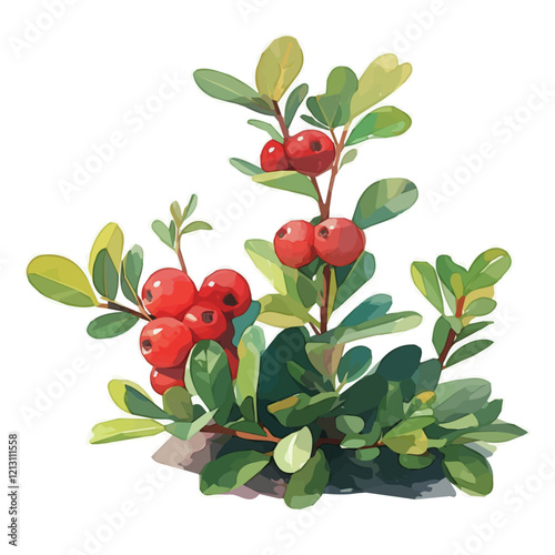 Wallpaper Mural Bearberry Plant with Fruit – Delicate Watercolor Botanical Illustration, Berry-Laden Plant Painting, Nature-Inspired Artwork, Vibrant Bearberry Design.  
 Torontodigital.ca