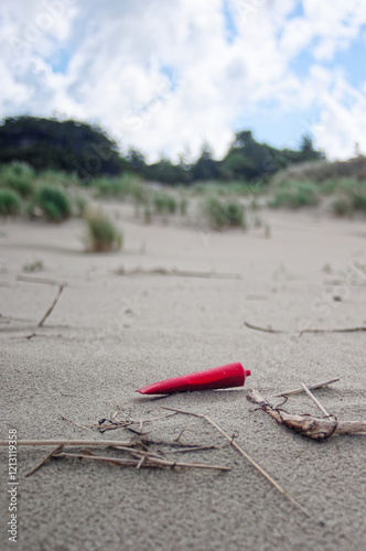 Wild sea lanscape polluted by a plastic garbage. Photoproject against pollution photo