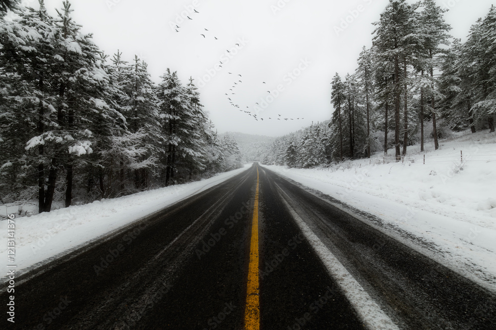 The roads of Uludağ National Park in winter. The roads of Uludağ National Park in winter.