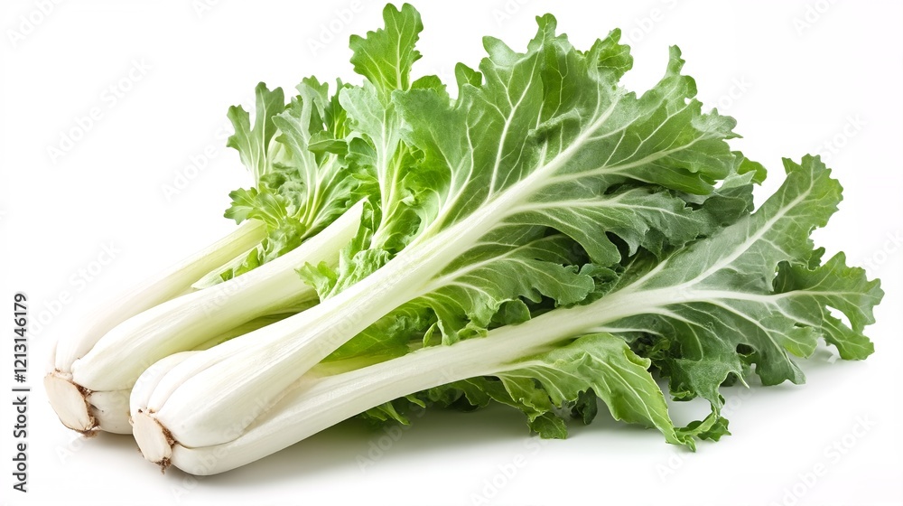 A bunch of leafy greens, possibly endive or escarole. A bunch of leafy greens, possibly endive or escarole.