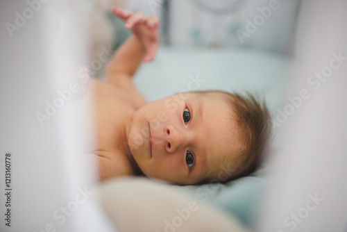 Newborn baby boy, just two weeks old, lying in his cot and looking at camera photo