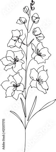 Delphinium Flower Line Drawing – Artistic Vector Design on White