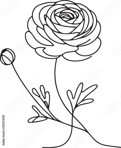Ranunculus Flower Line Art | Stunning Vector Illustration for Designers
