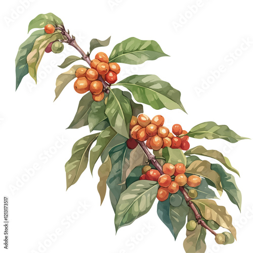 Coffee Plant with Fruit | Hand-Painted Watercolor Botanical Masterpiece.  
