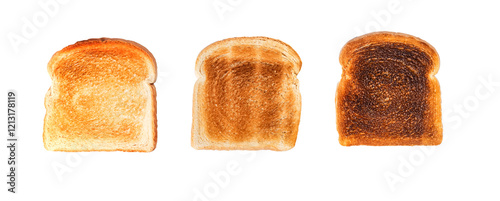 Variety of toasted bread