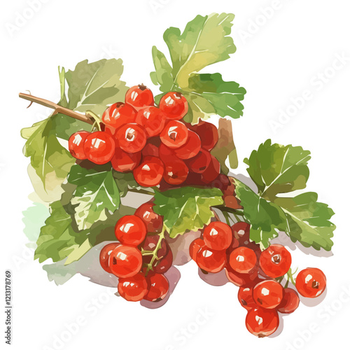 Currant Bush with Fruit | Delicate Watercolor Nature Illustration.  
