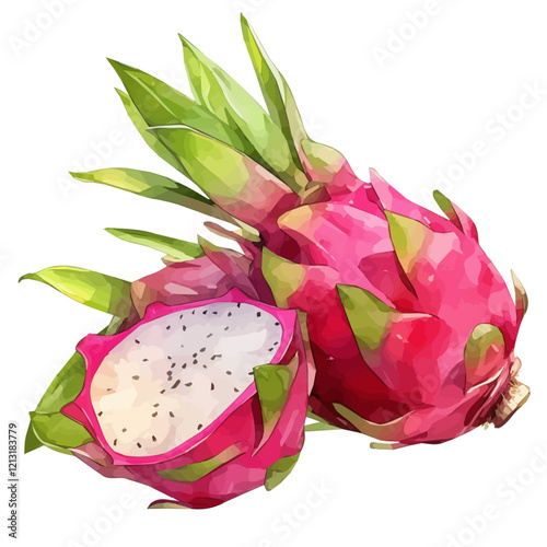 Dragon Fruit | Vibrant Watercolor Botanical Illustration.  

