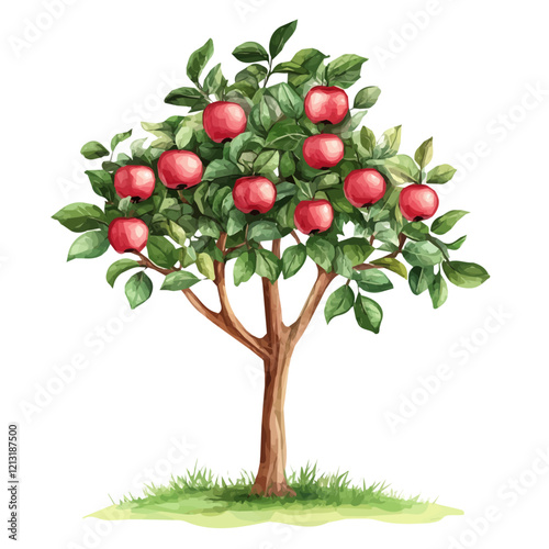 Emu Apple Tree with Fruit – Stunning Watercolor Vector Illustration, Unique Australian Tree Design, Nature-Inspired Artwork, Fresh Emu Apple Tree with Fruit Vector.  

