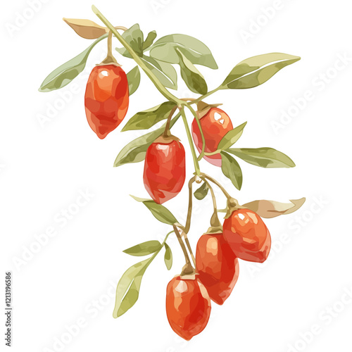 Goji Berry Plant with Fruit – Watercolor Illustration, Botanical Art, Healthy Superfood Painting, Nature Wall Decor, Organic Fruit Artwork

