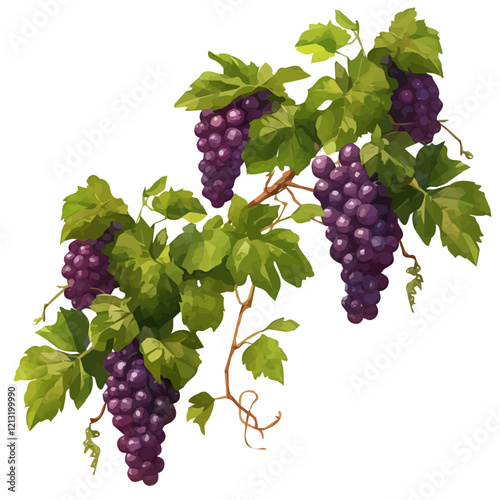 Wallpaper Mural Grape Vine with Fruit – Watercolor Illustration, Vineyard Art, Botanical Garden Design, Fresh Grape Painting, Nature-Inspired Artwork
 Torontodigital.ca