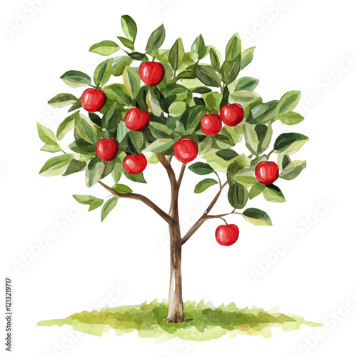 Kepel Tree with Fruit – Watercolor Vector Illustration, Exotic Botanical Artwork, Hand-painted Kepel Tree, Lush Nature-inspired Watercolor Vector Design  
 photo