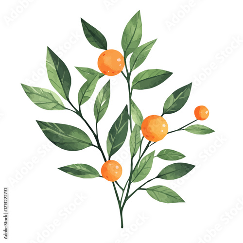 Lablab Plant with Fruit – Watercolor Vector Illustration, Vibrant Botanical Art, Hand-painted Climbing Vine with Pods, Nature-inspired Watercolor Vector Artwork  
