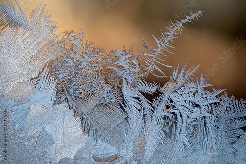 Ice flowers on window