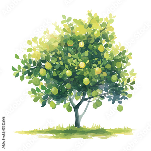 Lime Tree with Fruit – Fresh Watercolor Vector Illustration for Creative Designs  
