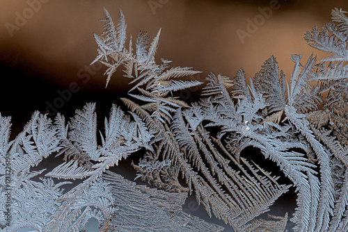 Ice flowers on window