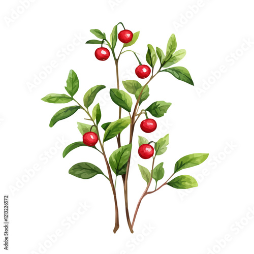 Lingonberry Plant with Fruit – Delicate Watercolor Vector Illustration for Artistic Creations  
