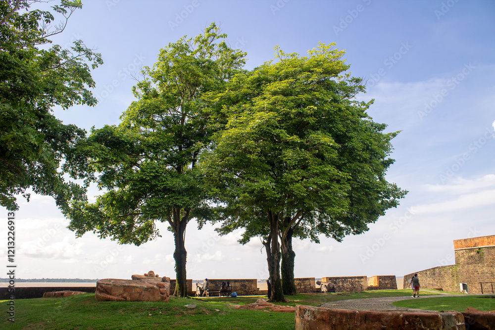 Fototapeta premium tree on the hill, Forte do Castelo localizado em Belém-PA, Brasil