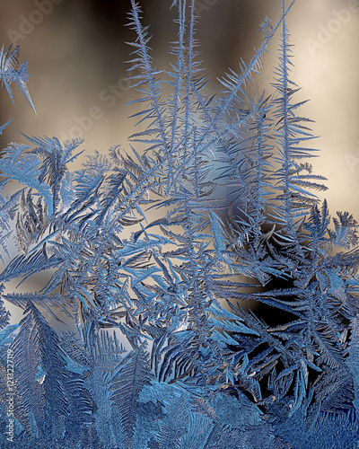 Ice flowers on window