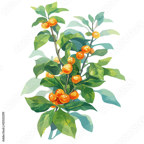 Naranjilla Plant with Fruit – Watercolor Illustration, Tropical Nightshade Shrub with Vibrant Orange Fruits, Lush Green Leaves and Thorny Stems, Hand-Painted Botanical Artwork
