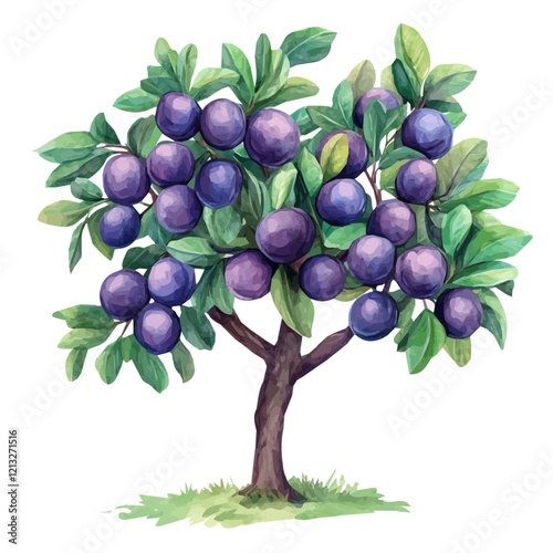 Plum Tree with Fruit | Soft Watercolor Flat Vector Illustration.  
