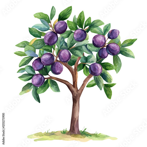 Prune Plum Tree with Fruit | Watercolor-Style Flat Vector Illustration.  
