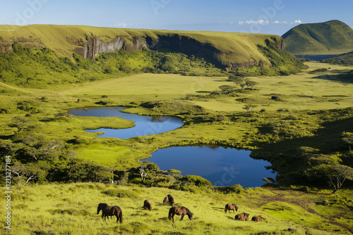 Chevaux sauvages dans une prairie verdoyante en vue aérienne photo